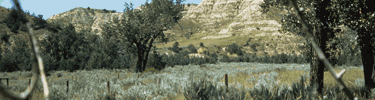 Elkhorn Ranch Site